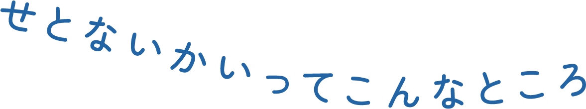 せとないかいってこんなところ